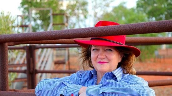 Treasurer approves Gina Rinehart-led bid for Kidman cattle stations